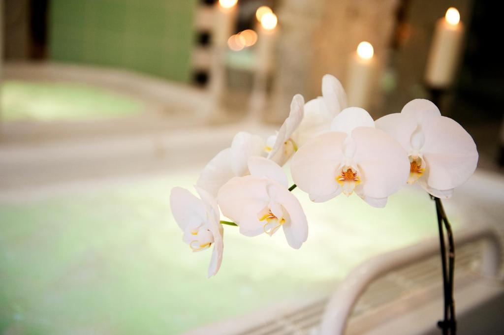 Ringhotel Vitalhotel Ambiente Бад-Вильснак Экстерьер фото